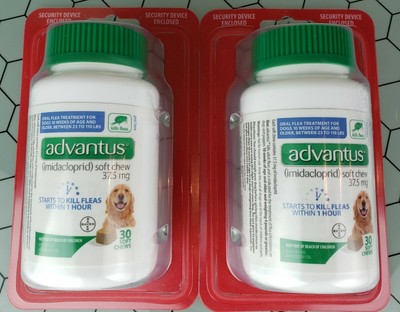 advantus flea treatment