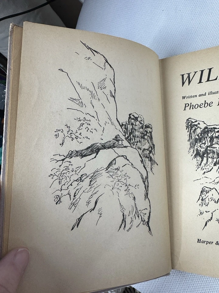 Vintage Book Wildwing Phoebe Erickson 1960 Horse Book Foto 3 de 4