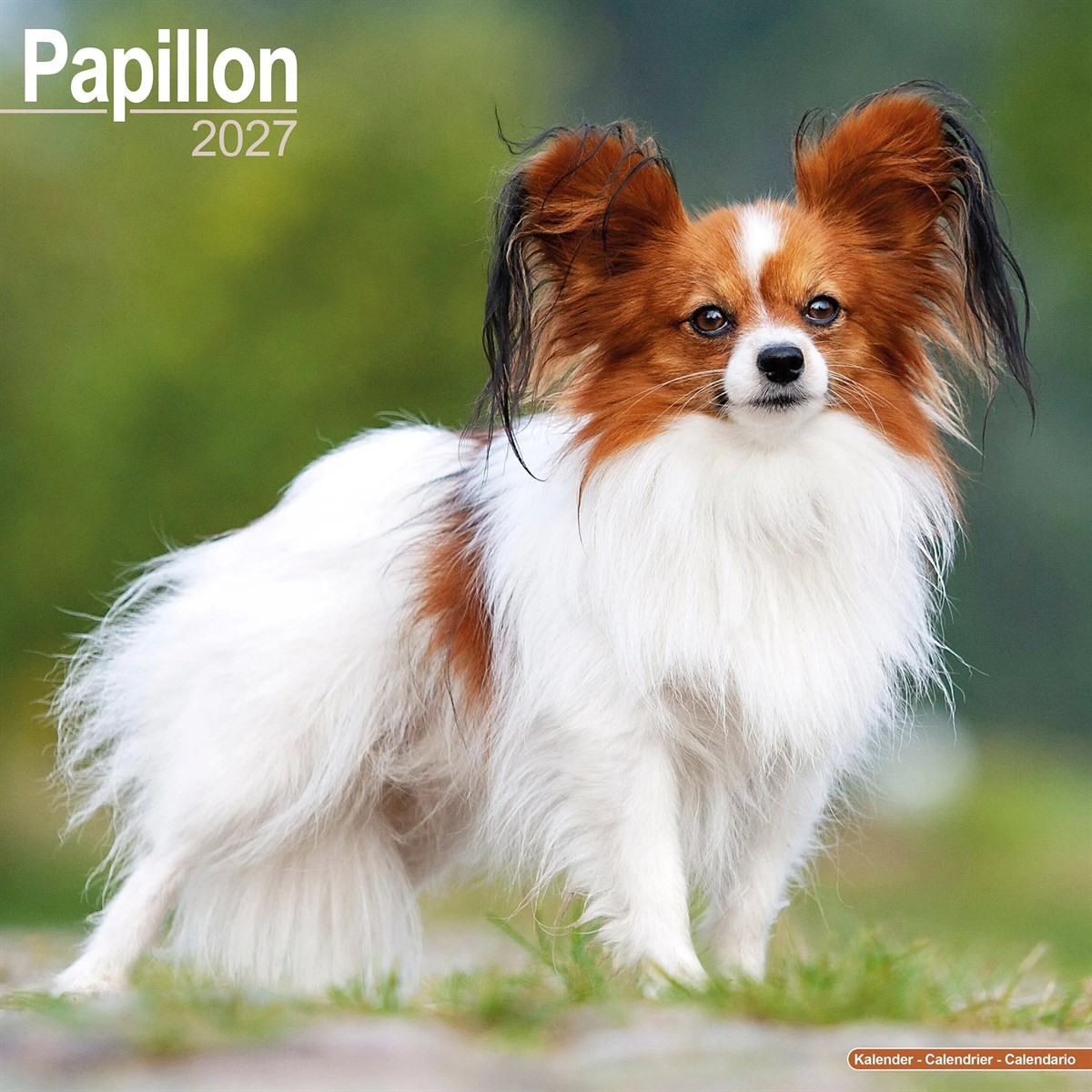Papillon Calendar 2027, Wall Calendars, Month To View, Dogs, Gift - Image 3