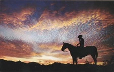 Postcard  Sundown in the Great West Country Chrome Unposted Vintage