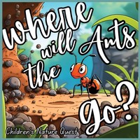 Where Will The Ants Go? | M Borhan | Taschenbuch | Englisch | 2024