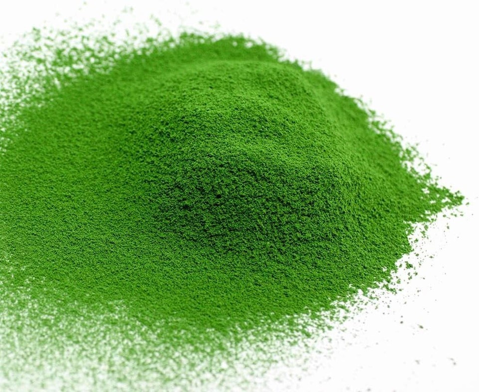 Marukyu Koyamaen Matcha Isuzu 40g 100g 500g - Japan Online Shopping