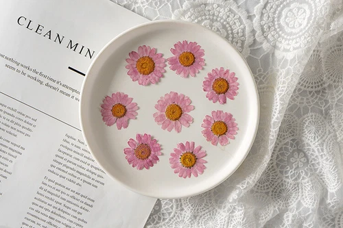Dried Pressed Flowers Natural Epoxy Resin Candle Nail Art Scrapbooking Craft AU - Picture 77 of 210