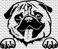 Peeking Pug Tongue Hanging Out Car Truck Van Window Vinyl Decal US Made And Sold