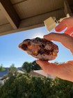 CA Cady Mountains Plume agate slabs rough cabbing matched pair flame moss Mojave — photo 6