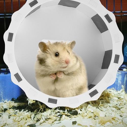Ruota da corsa silenziosa fitness criceti esercizio piccoli animali ruote porcellino d'India - Foto 12 di 12