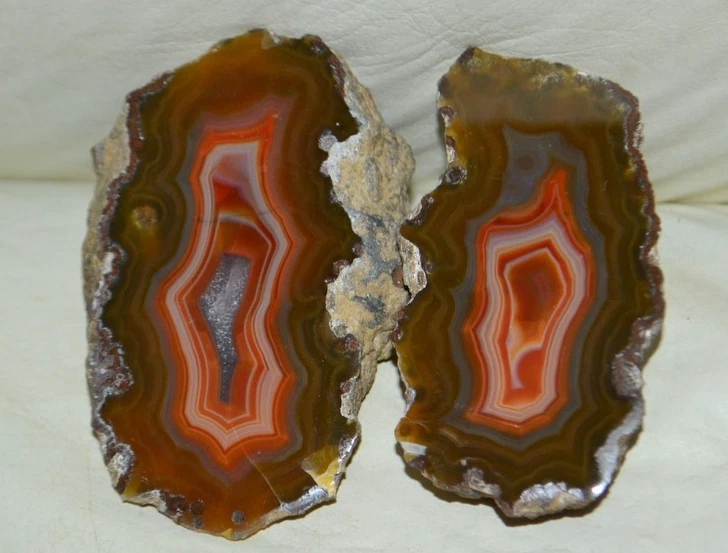Condor Agate for sale | eBay