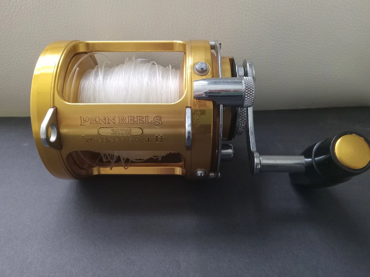 Penn International 30tw for sale | eBay