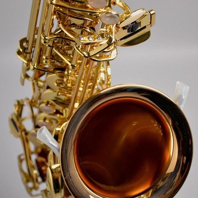 Yanagisawa A-WO20 Alto Saxophone Bronze Brass Lacquer Finish Heavy