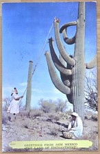 One Of A Kind! New Mexico NM Land of Enchantment Postcard Huge Saguro Cactus!!