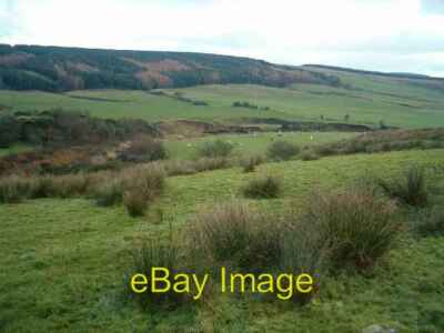 Foto 6x4 Conie Glen, Southend Dalbuie um 2005