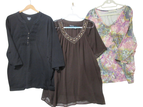 Lot Sz 3X Liz & Me Black Shirt + Maggie Barnes Brown Blouse + Roamans Floral Top