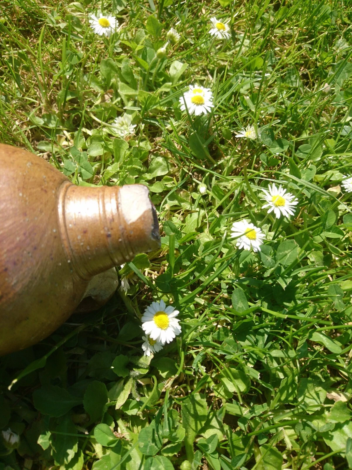 Bild 10 von 19