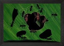 Leafcutter Ant Framed Wall Art Poster Canvas Print Picture