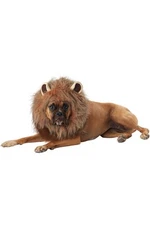 California Costume King Of The Jungle Dog Animals & Nature Pet Costume Pet20166