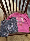 Carter's  Toddler Girl 4T Pink Top with Matching Blue Floral Leggings/NWT