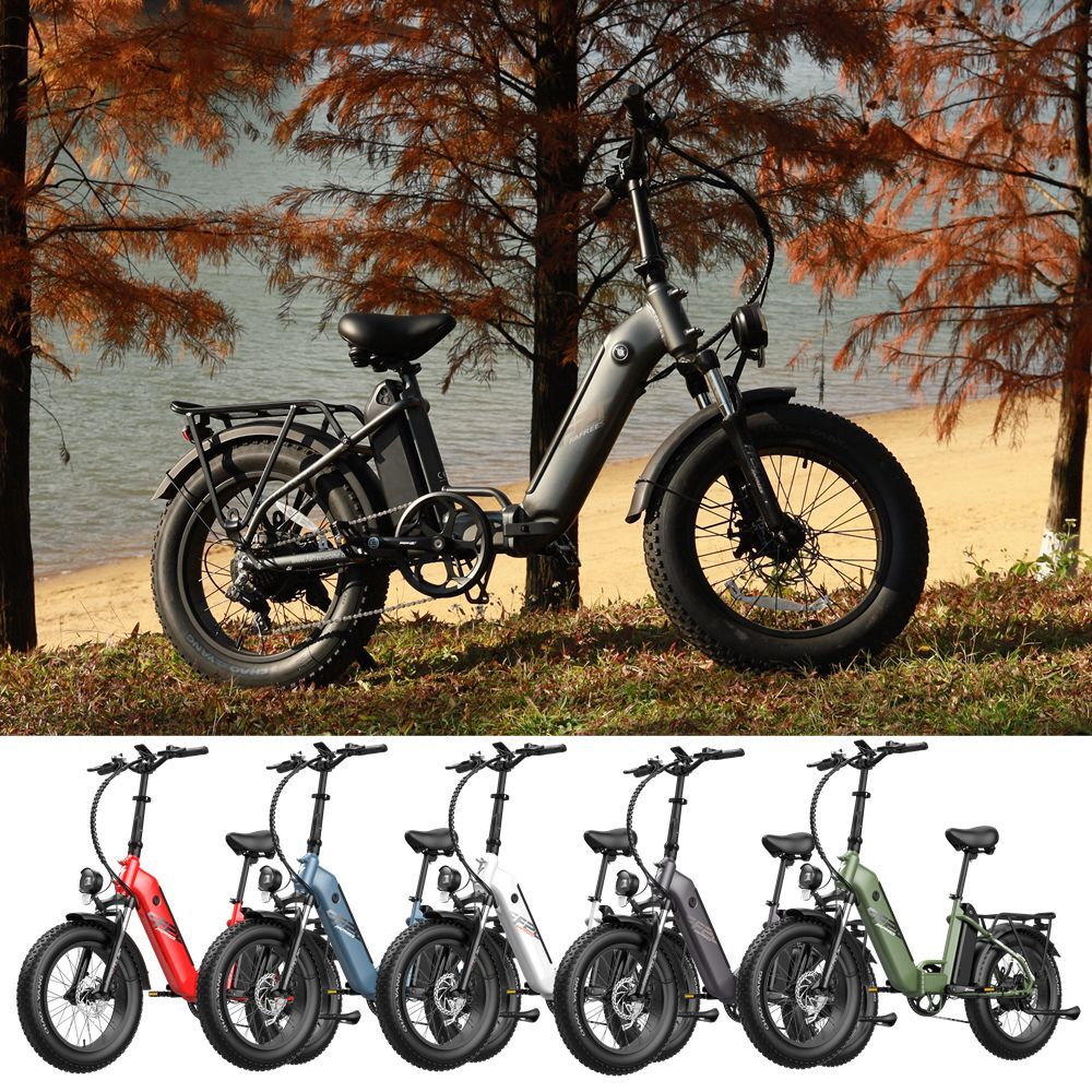 FAFREES FF20 POLAR 20 pulgadas EBike bicicleta eléctrica 500W 20Ah E-Mountainbike FatBike