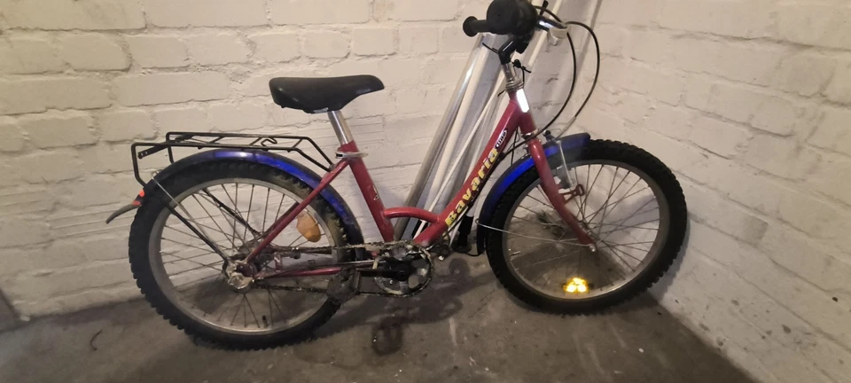 20 Zoll Kinder Fahrrad