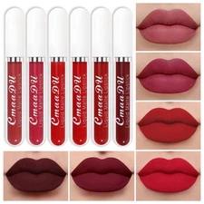 evpct 6Pcs Liquid Matte Lipstick Lipgloss Set for Women Dark Deep Bright Ruby...