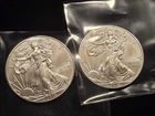 2x 2013 Walking Liberty 1oz American Silver Eagle Dollar Fine Silver 1-Troy Oz
