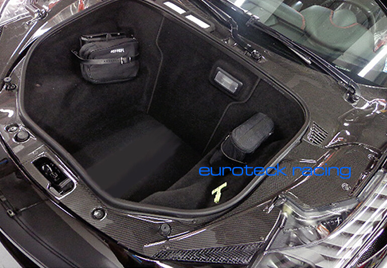 Ferrari 458 Italia Carbon Fiber Complete Front Hood / Bonnet Trim Set NEW!