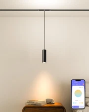 Spotlight Pendant Downlight Lamp Head, 24V Magnetic Track Lighting Pendans Li...