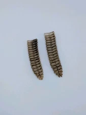 Two Super Large Western Diamondback Rattlesnake Rattle 9-2  " PRICE REDUCED"