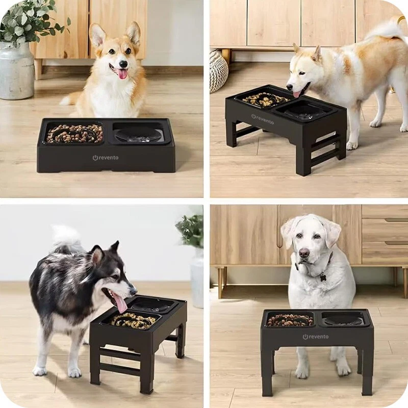 REVENTO Erhöhter Hundenapf Einstellbar 1,4L- Hundebar Futterstation Hund Groß - Bild 3 von 4