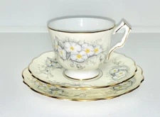 Aynsley - Petunia tea trio with pale yellow / cream coloured background