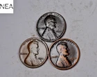 1911-D+1912-D+1913-D Lincoln Wheat Penny Cent Lot/Set ~ VG/Fine ~ ZWL24