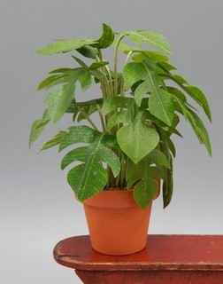 Vintage OOAK Palm House Plant In Terracotta Pot Artisan Dollhouse Miniature 1:12
