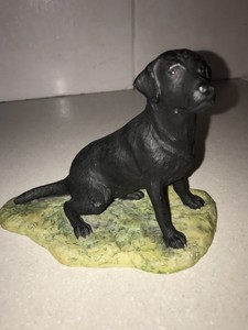 border fine arts black labrador