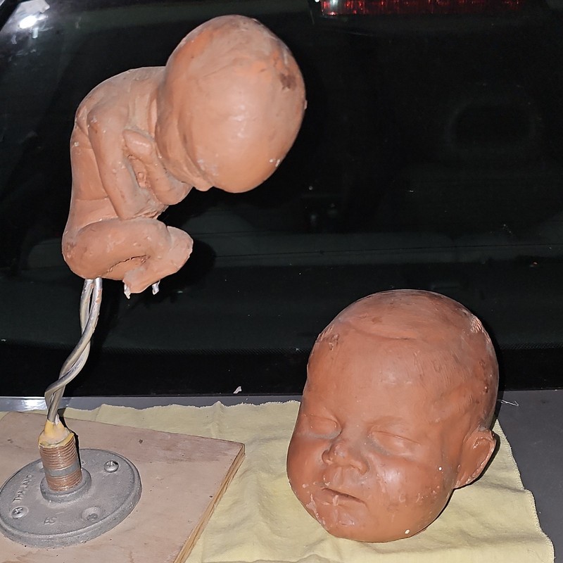 BY TIM GORE: Fetus/Baby Prop Doll Parts Body w/ Detached Head Flesh/Tan