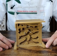 Ant farm "Hill" Vertical formicarium Anthill, ant nest