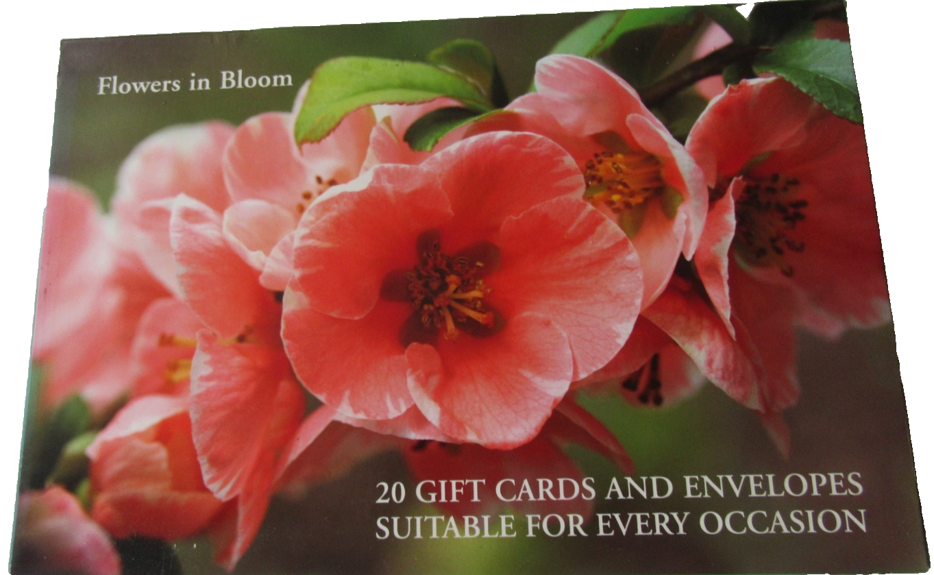 FLOWERS IN BLOOM - 20 NOTECARDS  4 OF EACH DESIGNS WITH DECORATIVE ENVELOPES