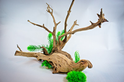 RARE Burl Driftwood Manzanita Aquascape Aquarium Terrarium Reptile 25''