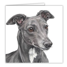 Greyhound greetings card dog blank card dogs Greyhounds art card Waggydogz cards