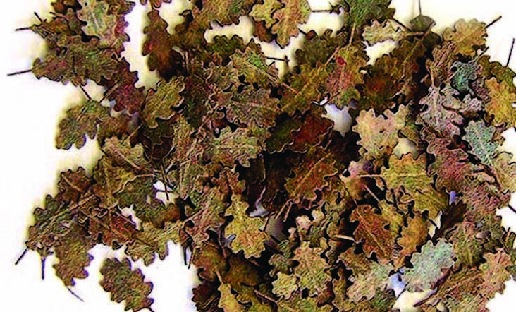 Plus Model 287 - 1:35 Accessories Oak Leaves - Extra Colors