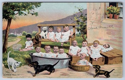 Multiple Babies Kittens and Puppies c1906 Ridgefield CT Th Bauer Art Postcard