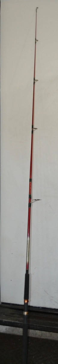 Master Spectra Composite Spinning Rod 