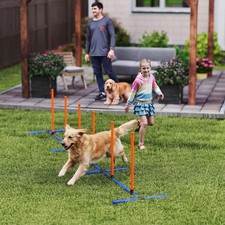 Dog Agility Training Equipment Adjustable Weaves Poles, Orange