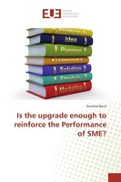 Is The Upgrade Enough To Reinforce The Performance Of Sme? Nassima Bouri
