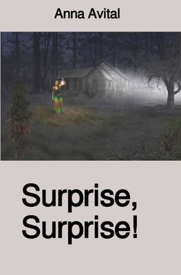 Surprise, Surprise! | Anna Avital | Deutsch | Taschenbuch | 220 S. | 2023