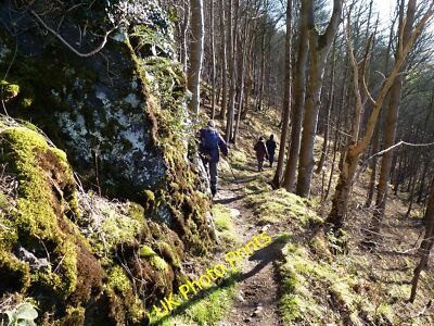 Foto 12x8 Wald Fußweg Brücke von Earn an der Südwand von Moncreiff c2015