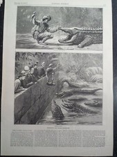 Karachi Pakistan Hot Springs Alligators India Kurrachee Harper's Weekly 1878