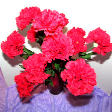 ARTIFICIAL FLOWERS red carnation bouquets 3 see description  tupperwr 