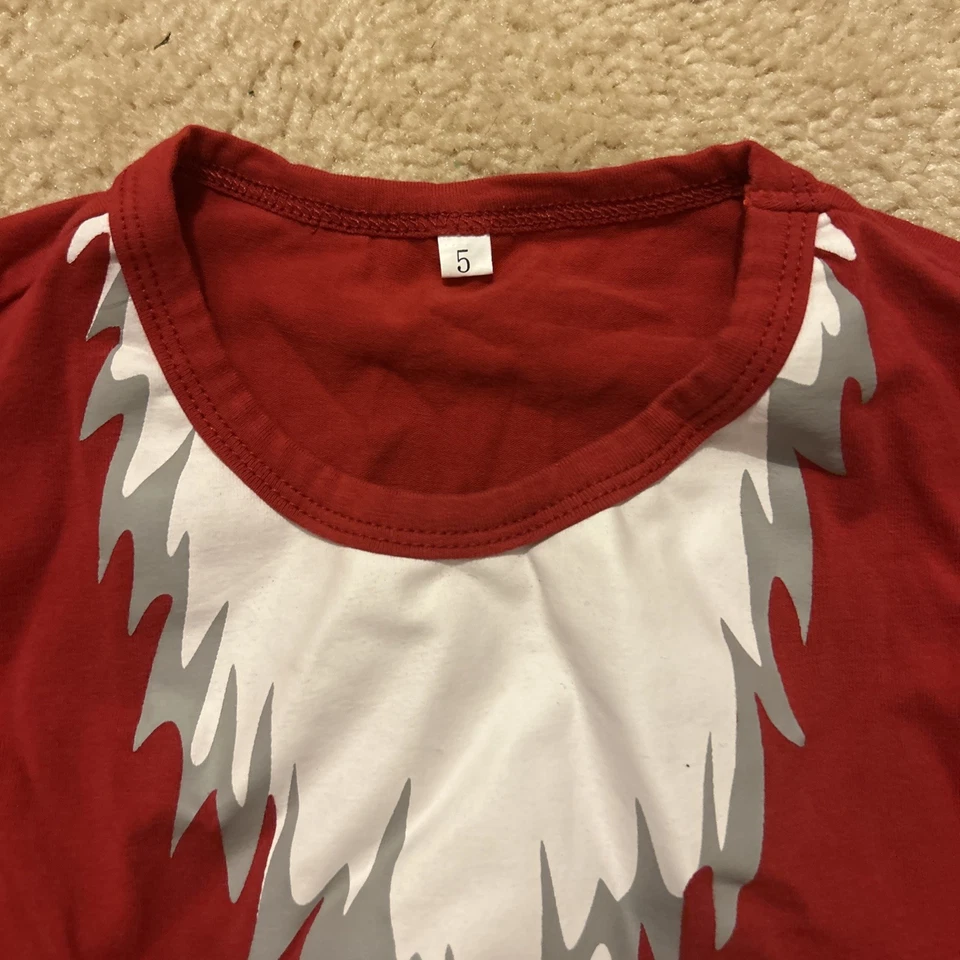 Top de Papá Noel para niño - talla 5 - manga larga usado en excelente estado Foto 4 de 4