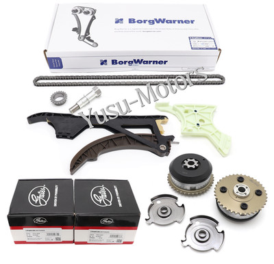 BorgWarner Timing Chain Kit for BMW 325I 335I 530i X3 X4 X5 N51 N52 N55 S55 3.0L