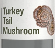 TURKEY TAIL MUSHROOM - Digestive Immune & Respiratory Support