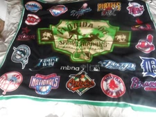 Baseball Team Fleece The Northwest Company Blanket